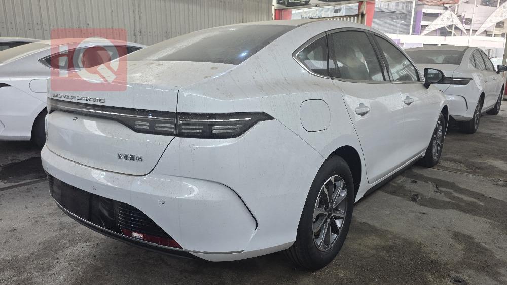 بي واي دي ديستروير 05